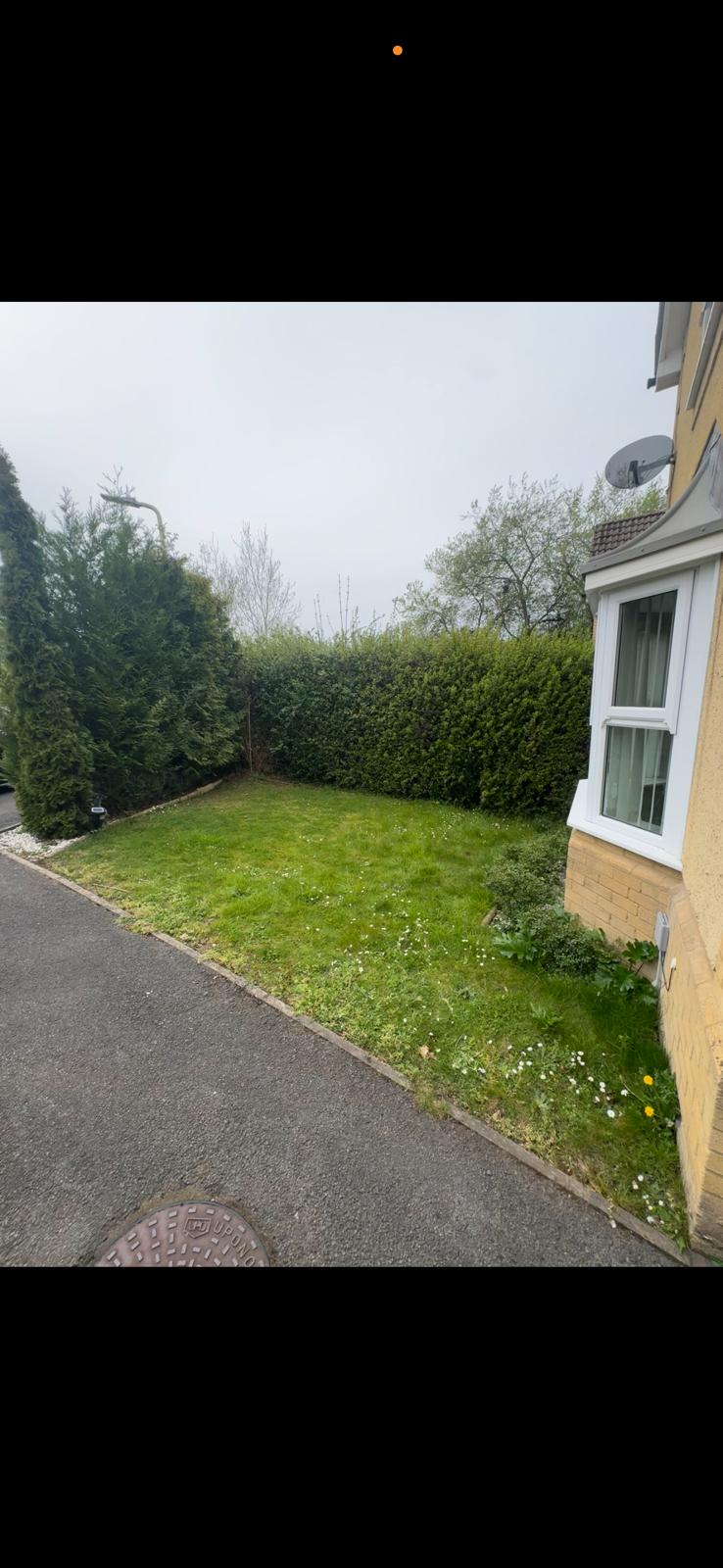 Tired lawn and hedge before SIB Construction installed a pattern-imprinted concrete patio in Reading